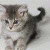 Константин's picture Константин's picture