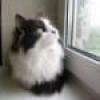 tina's picture