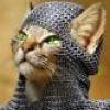 Miay's picture